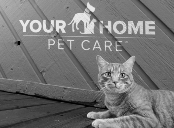 Your Home Pet Care - Addison, TX