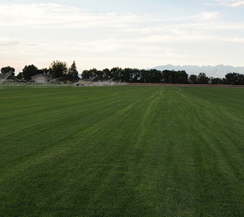 Emerald Turf - Payson, UT