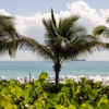1 Hotel South Beach gallery
