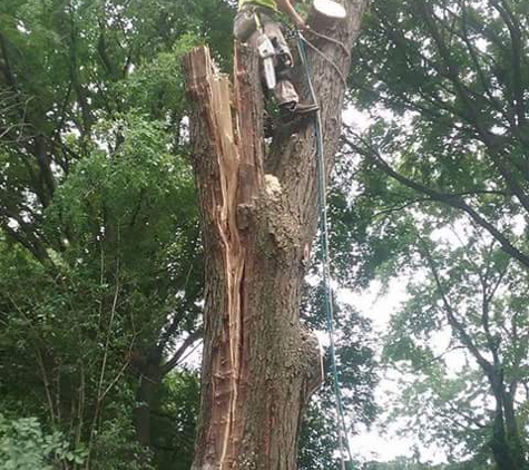 Tree Care Specialists - Strongsville, OH