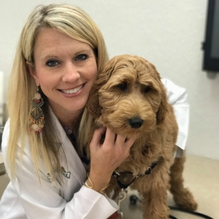 Downtown Pet Hospital - Orlando, FL. Dr. McCully