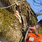 Woodland Tree Service