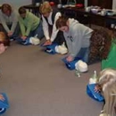 American Compliance and Safety Training - CPR Information & Services