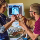 South Asheville Veterinary Emergency & Specialty