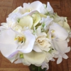 Stoughton Flower Shop gallery