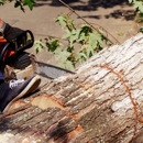 Patrick Certified Arborist - Tree Service