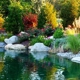 Vision Scapes Lawn & Landscape