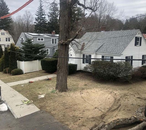 Burke's Tree Service - Rochester, NH