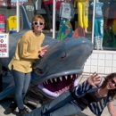 Shark Attack - Clothing Stores