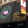 Flying Pig Treat Shop gallery