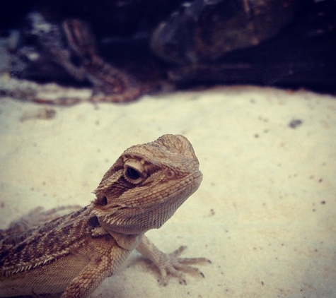 Petco - Hackensack, NJ