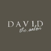 David The Salon gallery