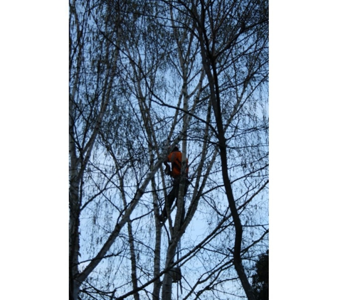 Total Tree Management - Kingston, TAS