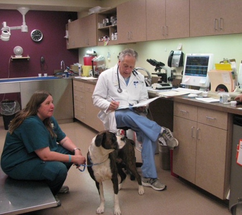 VCA McCormick Ranch Animal Hospital and Emergency Center - Scottsdale, AZ