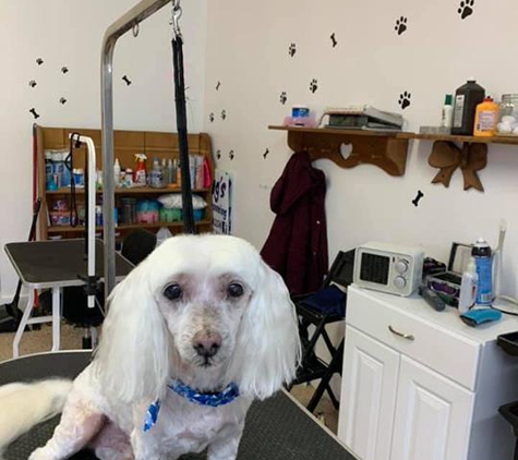 Wag's Pet Grooming - Jacksonville, FL