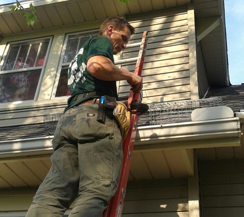 Mid Michigan Animal Control - Ionia, MI. Squirrel removal