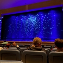 Medina Performing Arts Center (Pac) - Theatres