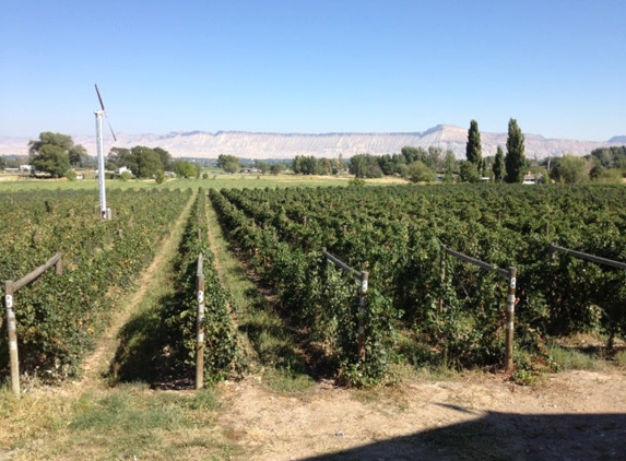 Whitewater Hill Vineyards - Grand Junction, CO