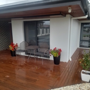 Gallery Image Number 5