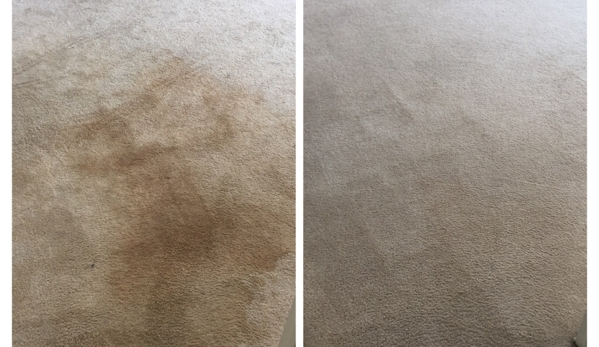 Red Carpet Cleaning - Manassas, VA. Before and after we clean the carpet .