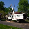 Crown Tree Care Inc gallery