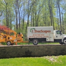 Treescapes Tree Experts