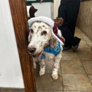 Indian Ridge Animal Hospital, Inc.