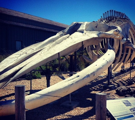 Seymour Marine Discovery Center