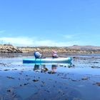 Morro Bay Paddlesports