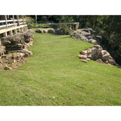 Gallery Image Number 7
