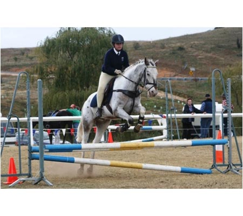 Forest Park Riding & Equitation School - Stromlo, ACT