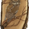 Paul Murphy Pyrography gallery