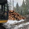 Timber Valley Tree Co gallery