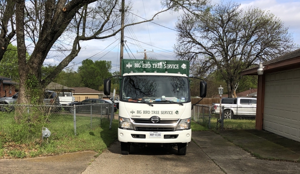 Big Bird Tree Service - Dallas, TX. Brush Hauled.