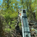 Alpine Arborworks - Tree Service