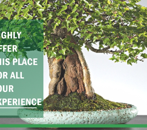 Ray Nesci Bonsai Nursery - Dural, NSW. Highly Offer This Place For All Your Experience