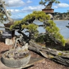 Elandan Gardens Ltd gallery