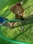 Dump and Pump Septic - Septic Tank & System Cleaning