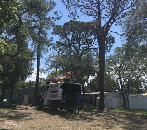 Aardvark Tree Service - Port Orange, FL