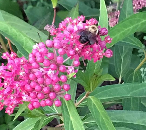 Bridgeview Gardens - Princeton, MN