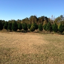 Stinson Christmas Tree Farm - Christmas Trees
