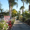 In-N-Out Burger gallery