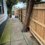 Gallery Image Number 2