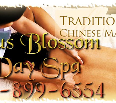 Lotus Blossom Day Spa - Tulsa, OK