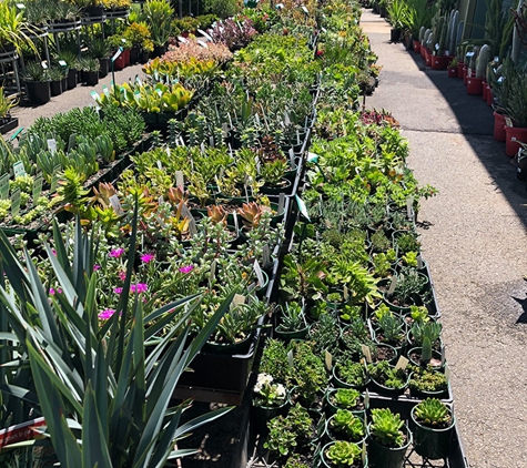 Wholesale Plants & Products Pty Ltd - Dry Creek, SA