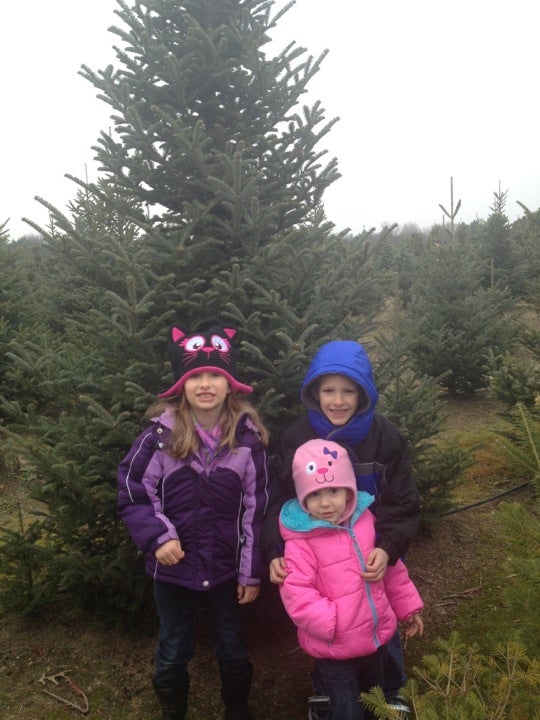 Candy Cane Christmas Tree Farm - Oxford, MI 48371