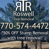 Roswell Tree Removal gallery