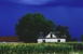 Rockdale Insurance Agency - Insurance