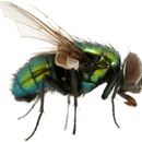 EcoShield Pest Control - Pest Control Services