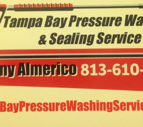 Tampa Bay Pressure Washing and Sealing Service - Tampa, FL